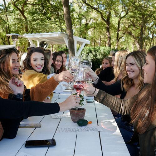 Texas Wine Tours The Hill Country Original Wine Tour